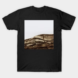 Desert Mountain T-Shirt